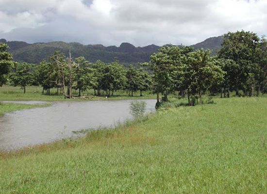 timor-leste/gleno/landmark/nino-konis-santana-national-park