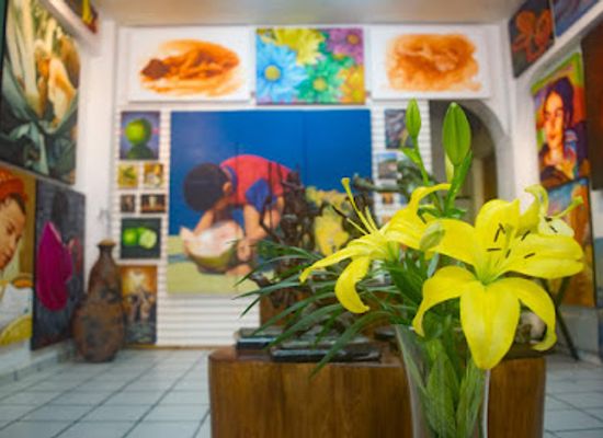 mexico/costa-grande/landmark/suazo-art-gallery