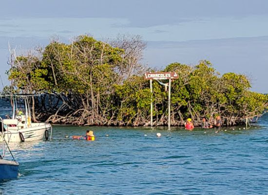puerto-rico/la-parguera/landmark/fondo-de-cristal-tours-boat-rental