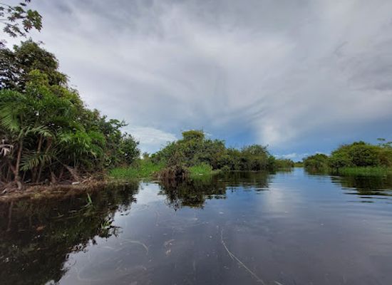 peru/iquitos/punchana/landmark/pilpintuwasi