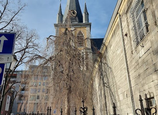 belgium/liege/landmark/tresor-de-liege