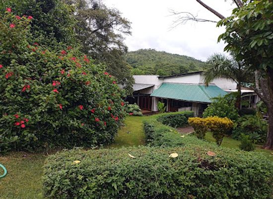zimbabwe/mutare/landmark/wise-owl-motel