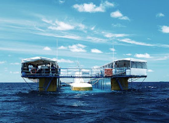 maldives/gnaviyani-atoll/landmark/whale-submarine