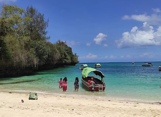tanzania/zanzibar-island/landmark/tortoise-sanctuary
