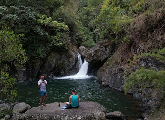 costa-rica/osa-peninsula/landmark/parque-nacional-los-quetzales