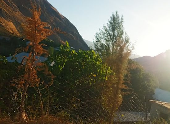 uzbekistan/kashkadarya-region/landmark/xazrati-bashir-issiq-buloq-oilaviy-dam-olish-maskani