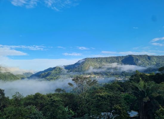 ecuador/northern-sierra/landmark/mindo-ziplines-tour-cia