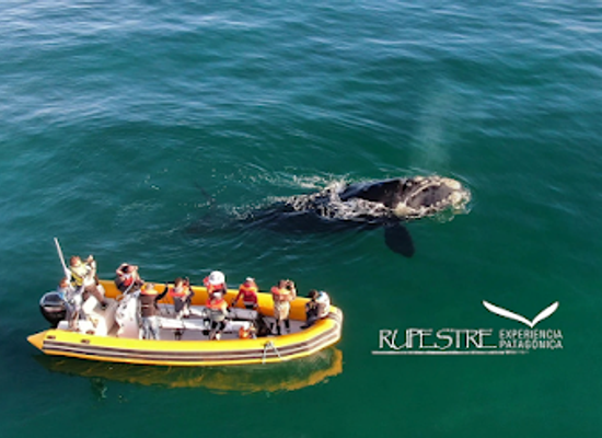 argentina/central-patagonia/landmark/estacion-nautica-rupestre-experiencia-patagonica