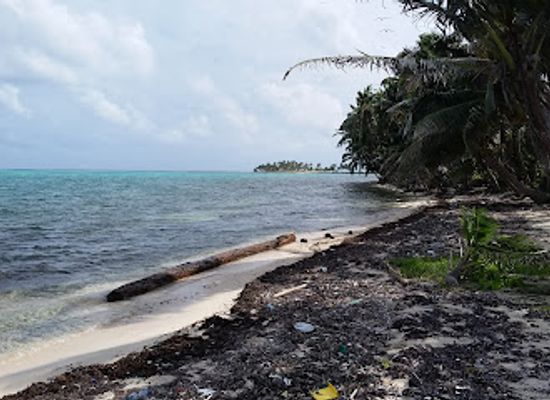 belize/lighthouse-reef-atoll/landmark/half-moon-caye