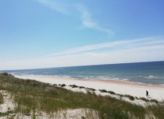 lithuania/nida-beach/landmark/smiltynes-papludimys