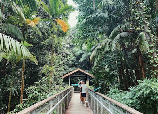 singapore/sentosa/landmark/memories-of-the-sentosa-monorail
