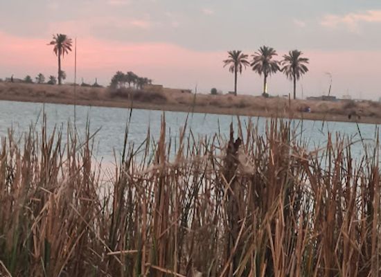 iraq/southern-iraq/landmark/euphrates-river