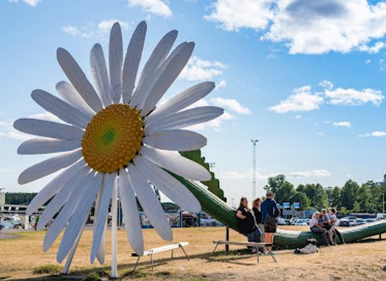 finland/turku/landmark/daisy