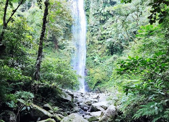 philippines/bicol-region/landmark/mt-isarog-national-park