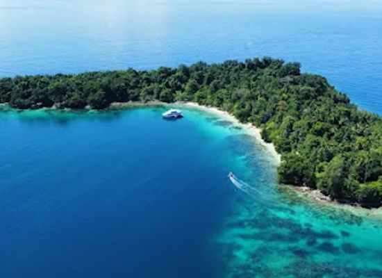 papua-new-guinea/madang-province/landmark/niugini-dive-adventures