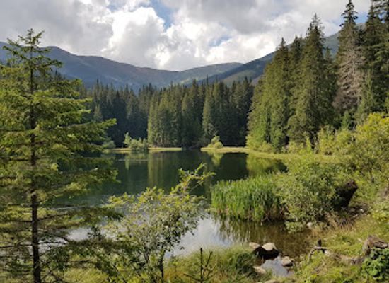 slovakia/nizke-tatry-national-park/landmark/vrbicke-pleso
