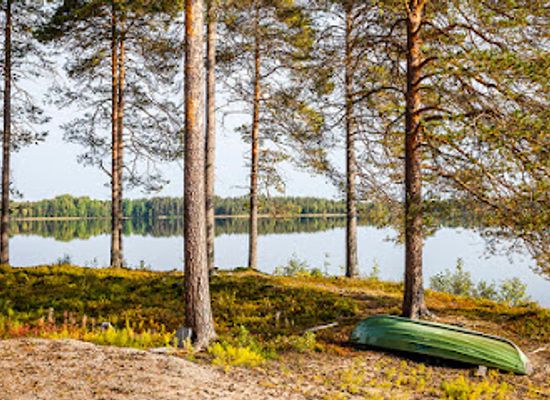 finland/archipelago-national-park/landmark/ranua-zoo