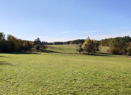hungary/orseg-vendvidek/landmark/orsegi-nepi-muemlekegyuttes