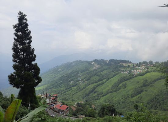 india/darjeeling/landmark/tibetan-refugee-self-help-centre
