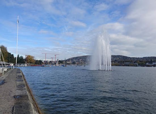 switzerland/zurich/landmark/sukkulenten-sammlung-zurich