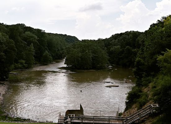 indiana/wabash-valley/landmark/salamonie-river-state-forest