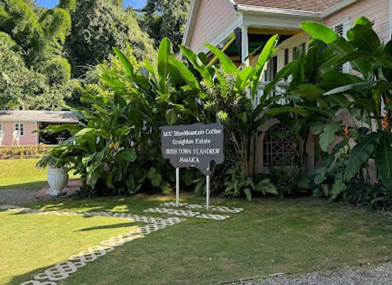 jamaica/yallahs-valley/landmark/tourish-sightseeing-tours-excursions-kingston-jamaica