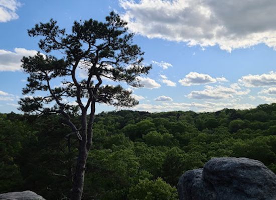 missouri/southeast-missouri/landmark/pickle-springs-natural-area