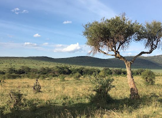kenya/kerio-valley/landmark/maasai-mara-national-reserve