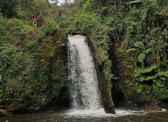kenya/coastal-region/landmark/mount-kenya-national-park