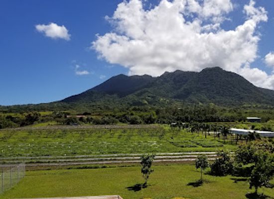 saint-kitts-and-nevis/cayon/landmark/st-kitts-eco-park