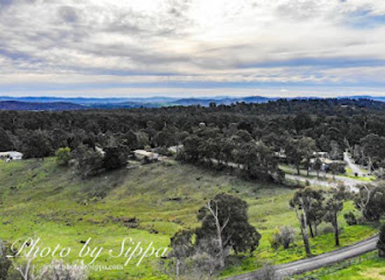 australia/yarra-valley/landmark/badger-creek-blueberry-winery