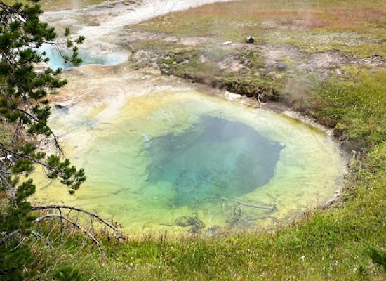 wyoming/yellowstone-national-park/landmark/lakeshore-geyser