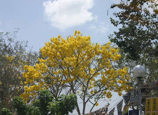 philippines/northern-mindanao/landmark/ereccion-de-pueblo