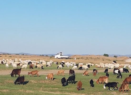 mongolia/eastern-steppe/landmark/aryapala-temple-meditation-center