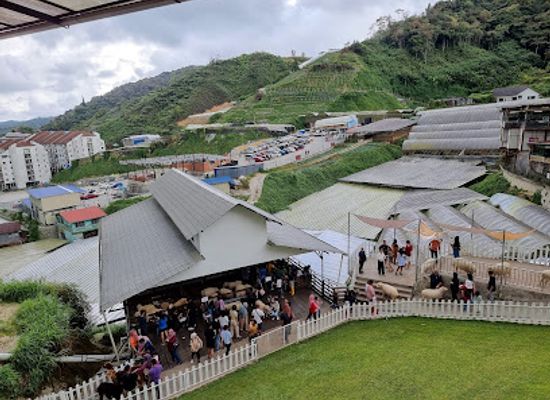 malaysia/cameron-highlands/landmark/the-sheep-sanctuary