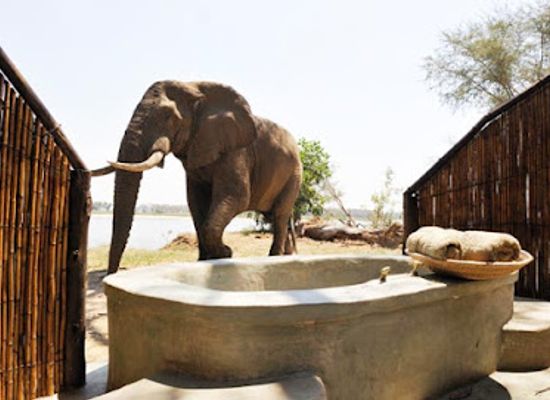 zambia/zambezi-basin/landmark/old-mondoro-camp