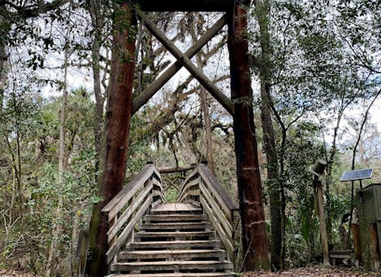 florida/nature-coast/landmark/lower-hillsborough-wildlife-management-area