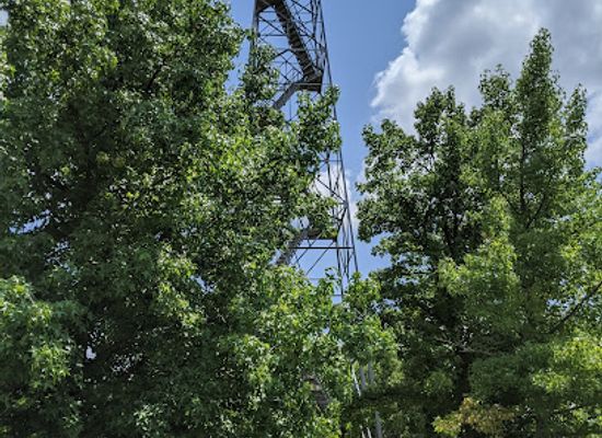 arkansas/eureka-springs/landmark/razorback-tower