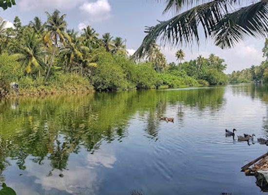 india/kerala-backwaters/landmark/murinjapuzha