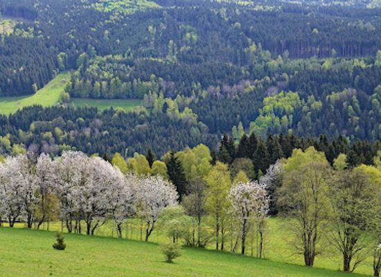 czechia/sumava-national-park/landmark/vodni-zamek