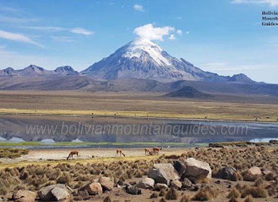 bolivia/andean-valleys/landmark/bolivian-mountain-guides