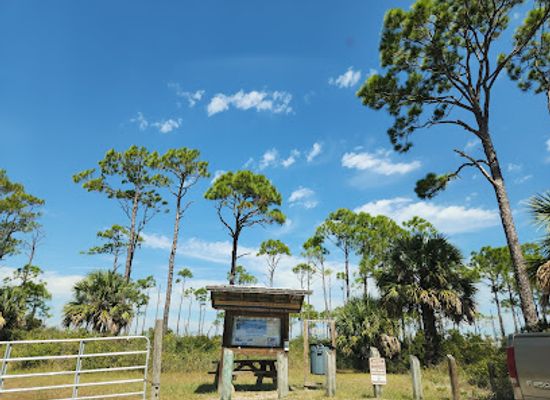 florida/panhandle/landmark/apalachicola-bay-national-estuarine-research-reserve