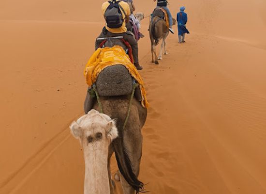 morocco/merzouga-region/landmark/fabulous-desert-camp