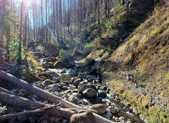 oregon/cascade-mountains/landmark/mark-o-hatfield-wilderness