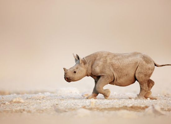 namibia/kuneneland/landmark/secret-namibia