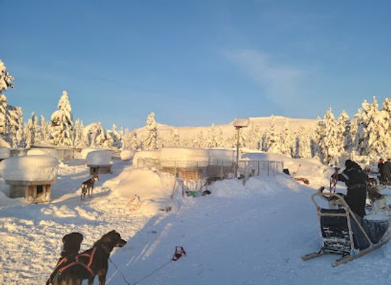 norway/trysil/landmark/mountain-king-s-sledehundkennel
