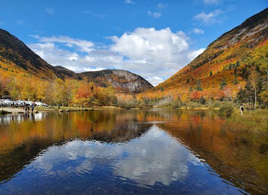 new-hampshire/white-mountains/landmark/willey-house