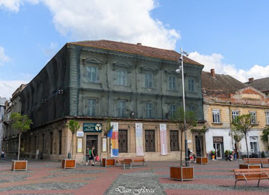 romania/banat/landmark/biblioteca-judeteana-timis