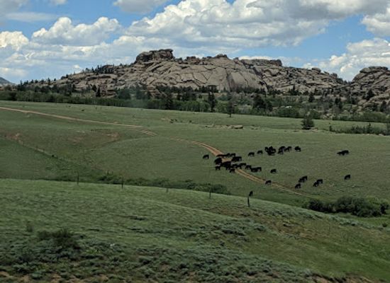 wyoming/albany-county/landmark/medicine-bow-routt-national-forest