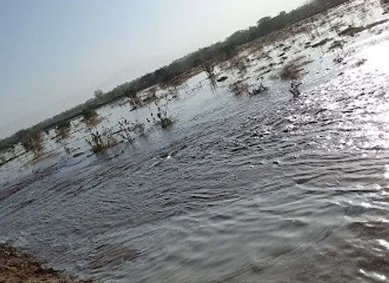 yemen/al-jawf/landmark/wadi-jawf